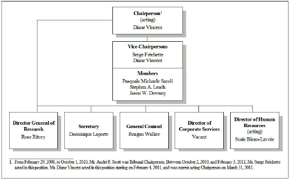 organizational structure with description